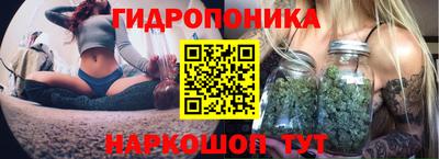 стафф Новозыбков