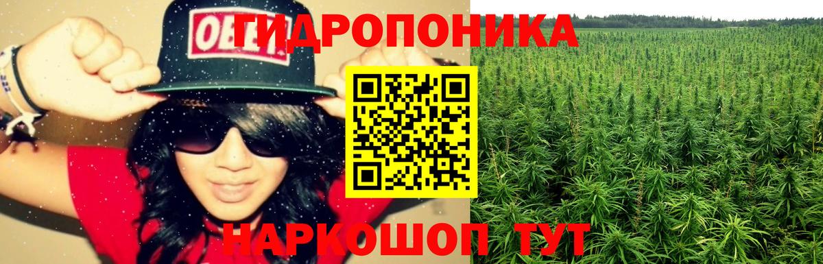 Шишки марихуана OG Kush  Вход с VPN  Сибай  МАРИХУАНА ГИДРОПОН  Бошки марихуана OG Kush 